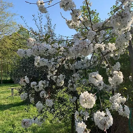 Auberge de jeunesse Cascina Bellaria Milan