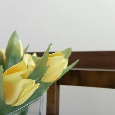 Appartement Duprè 5 *