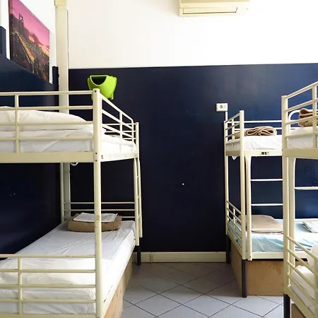 Koala Albergue