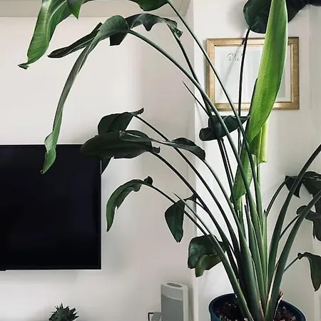 Penthouse Con Terrazza 아파트 밀라노