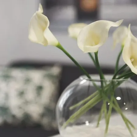 Ca' Lucia - Affitti Brevi Italia Apartman