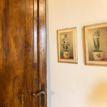 Klimt - Luxury Design *