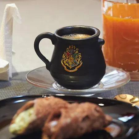 Harry Potter's Magic House - Metro M4 - Linate - Citta Studi