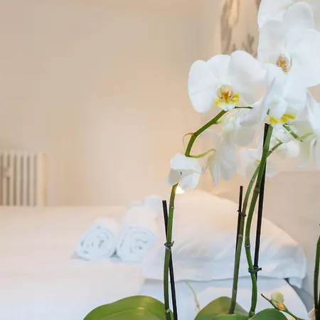 Fondazione Prada - Exclusive Loft Of Cinema ☆☆☆☆☆ Apartamento *