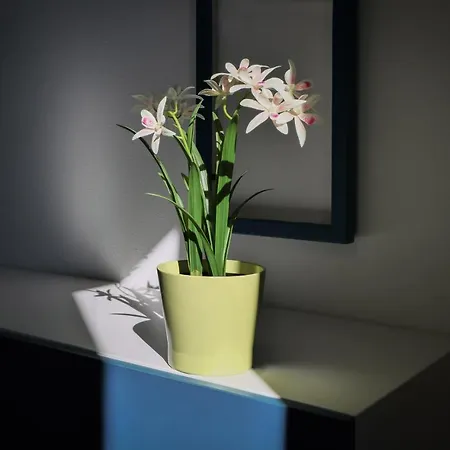 Primopiano - Fusina Milaan