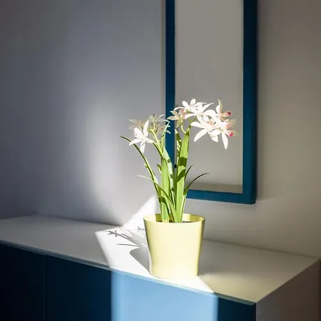 Appartement Primopiano - Fusina Milaan