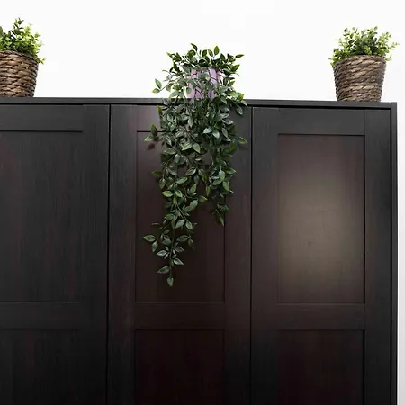 Lamarmora Charming *