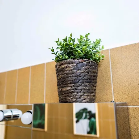 Lamarmora Charming *