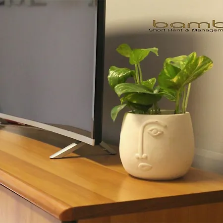 Bamboo Copernico