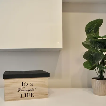 M.aurelio Light Brown