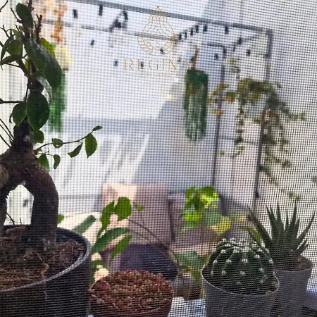 Regina In Porta Romana 1 Apartment