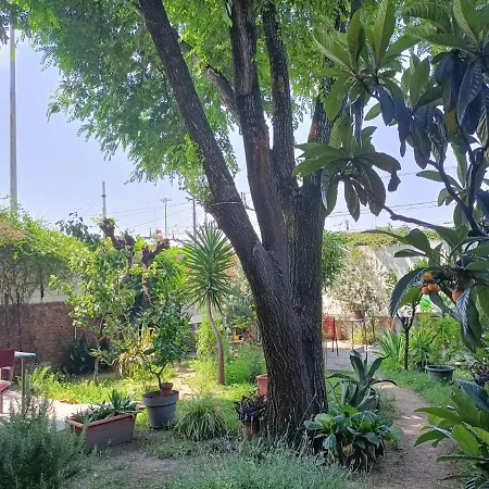 With A Garden Pansiyon