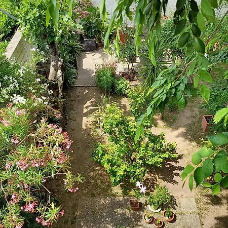 With A Garden *