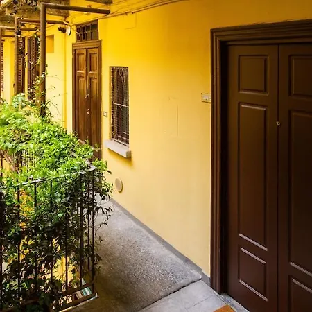 Palm Apartman *