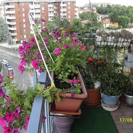 House Guest house