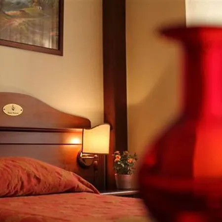 Hotel Pavone 3*