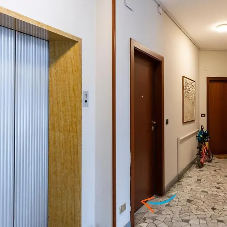 Brenta Floor - Mm3 Yellow Line *