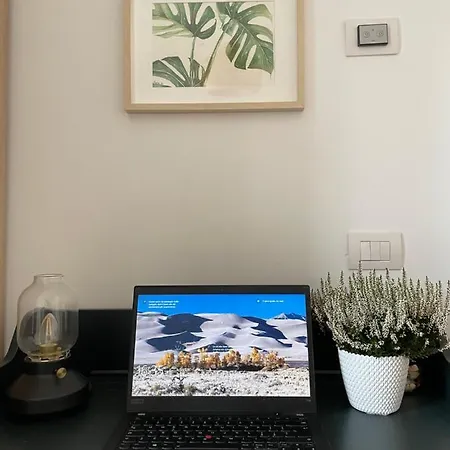 Accommodatie bij particulieren Mowgli House - Luxury *