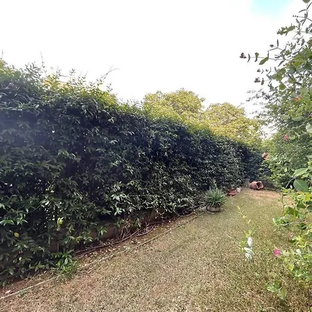 Garden アパート