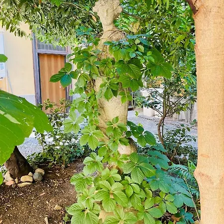 Leafy Sunshine, Bilocale In Porta Venezia, Con Metro A 1 Min A Piedi Appartement