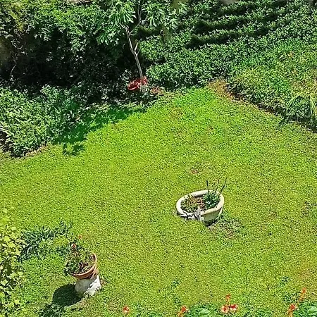 Bed & Breakfast Vialetto V. Pastro 10 *