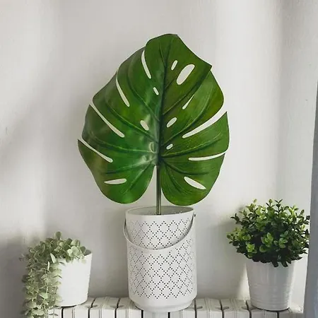 Solution Solari 밀라노