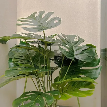 Monobo, Luxury Smart Loft In Porta Romana Apartmán *