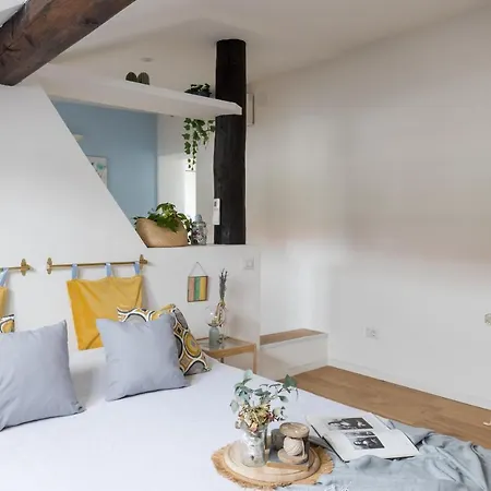 La Mansarda Del Bosco - - By Host4u Apartment