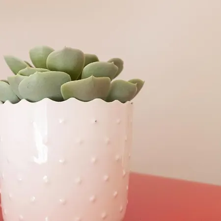 Апартаменты Italianway Collection - Stradivari 4 Милан