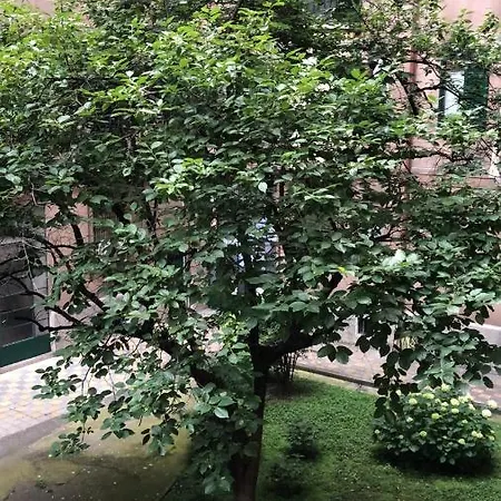 Apartamento Venini Station *