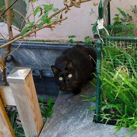 Un Insospettabile Angolo In Citta *