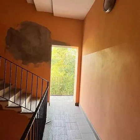 Cozy Nest Апартаменты *