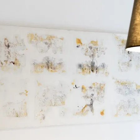 Apartament Cute In