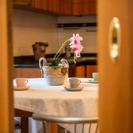 Shortmi Montello ミラノ