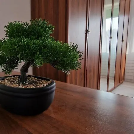 Shepherd's House 米兰