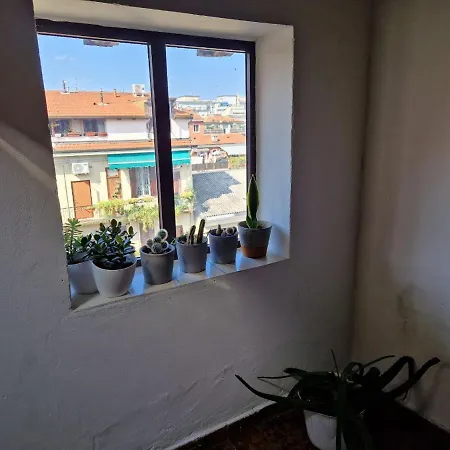 Into The World Lejlighed *