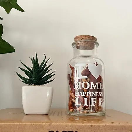 The White House, Modern In Center