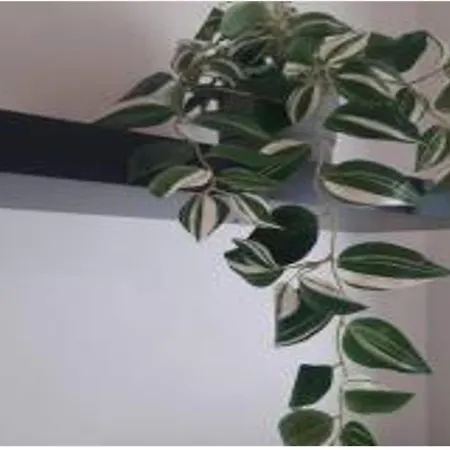 Bomboniera Sui Navigli