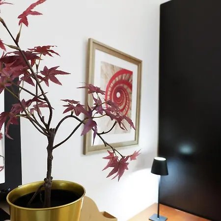 Primopiano - Amadeo 32 Milaan