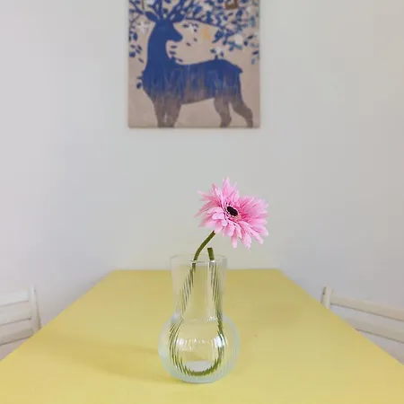 Appartamento Primopiano - Frisi Milano