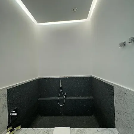 Guest house Domus Camillus 2*