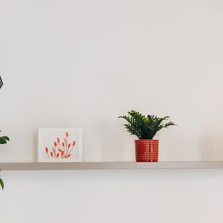 Daire Charming Brera - Madonnina *