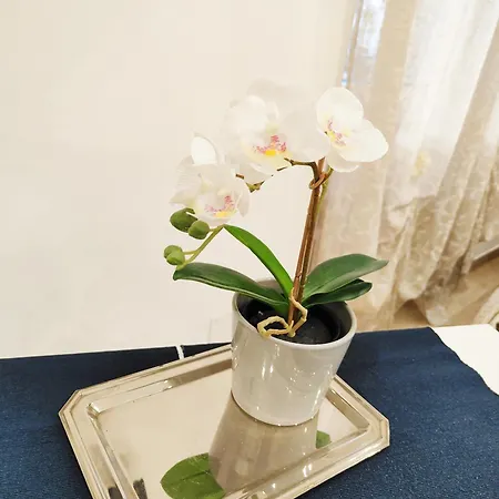 La Piccola Bomboniera Di Nord Apartment Milan
