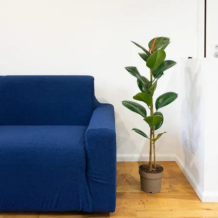 Zona Bovisa/scalo Farini In Affitto Apartment