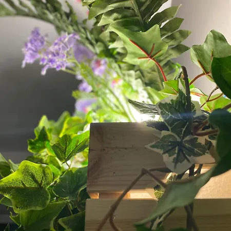 Dea Dreams - Marghera 43 Near San Siro Stadium