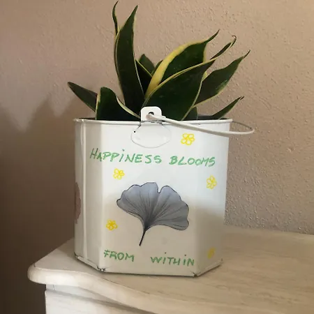 La Casa Sul Ballatoio Isola San Siro E Humanitas Piox