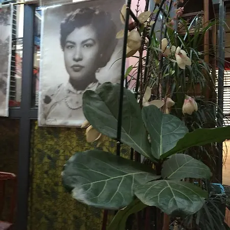 Vietnamonamour Frühstückspension 2*