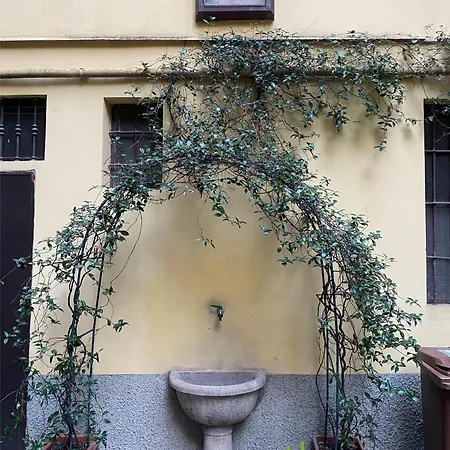 Bamboo Darsena Milán