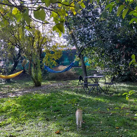 Navigli, Caratteristico Milanese * Μιλάνο