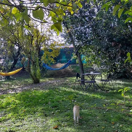 Navigli, Caratteristico Milanese *